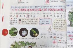 3网友改写的星汉灿烂开放式结局