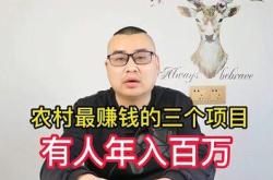 虚拟财富与现实梦想小伙万元卖号买房背后的警示